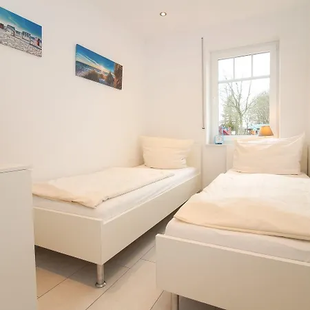 Kleine-robbe * Norden